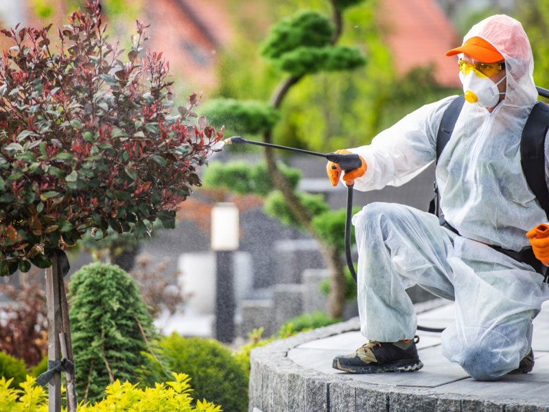 Bala Haşere İlaçlama